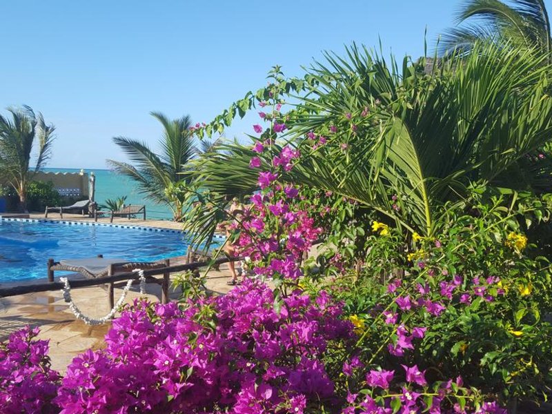 Queen Of Sheba Beach Lodge 229236