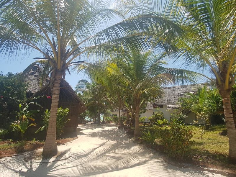 Queen Of Sheba Beach Lodge 229250