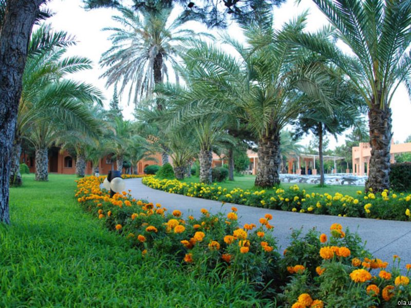 Queen’s Park Goynuk (ex 18947