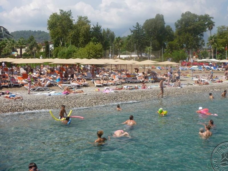 Queen s Park Turkiz Family Club 275310