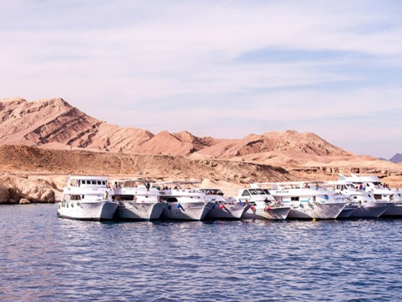 REDISCOVER EGYPT  Promo tour 308797