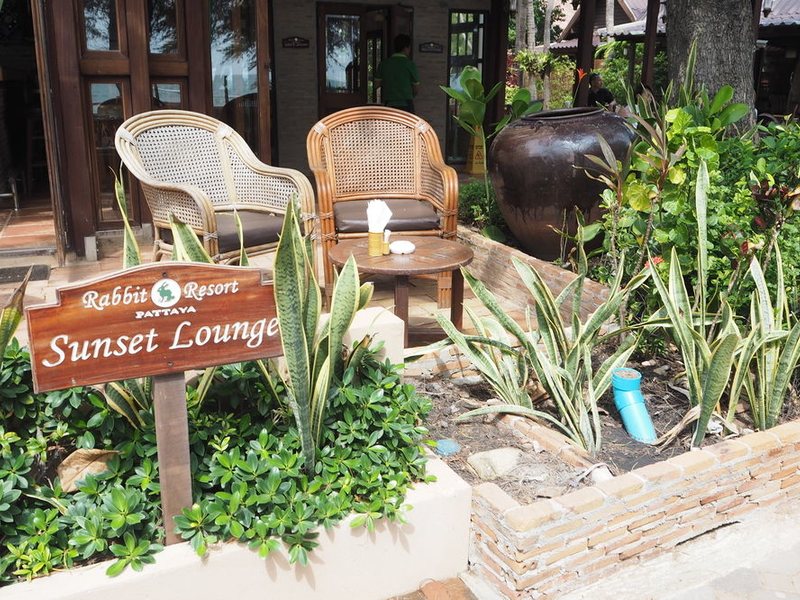 Rabbit Resort 156052