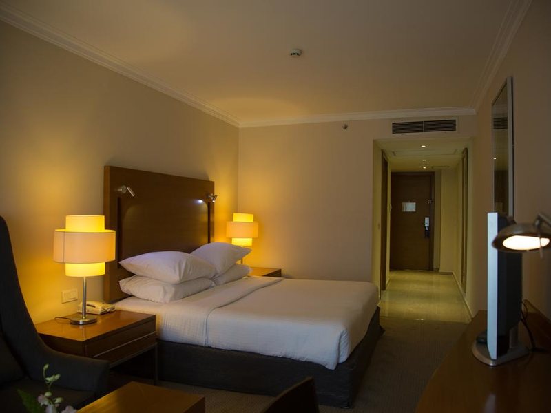 Radisson Blu Cairo 274027