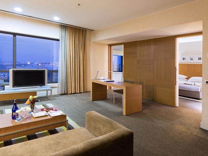 Radisson Blu Conference & Airport Hotel Istanbul 197024