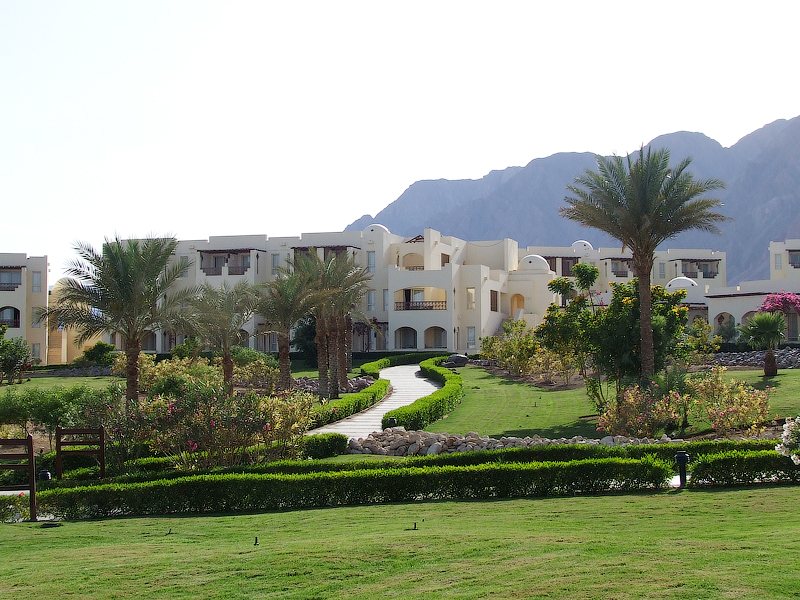 Radisson Blu Resort Taba 37775