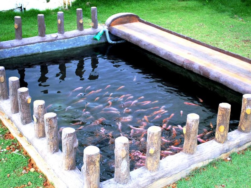 Ramon Beach Resort 193983