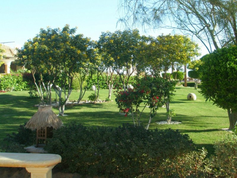 Raouf Sun & Star Hotel 157632