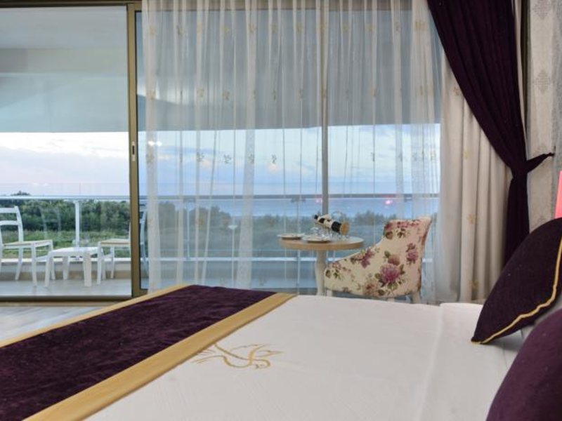 Raymar Hotel & Resort 60263