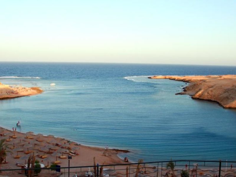 Red Sea Taj Mahal (ех 121346