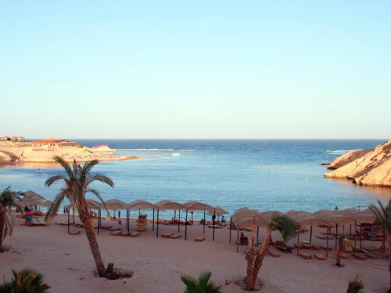 Red Sea Taj Mahal (ех 121347