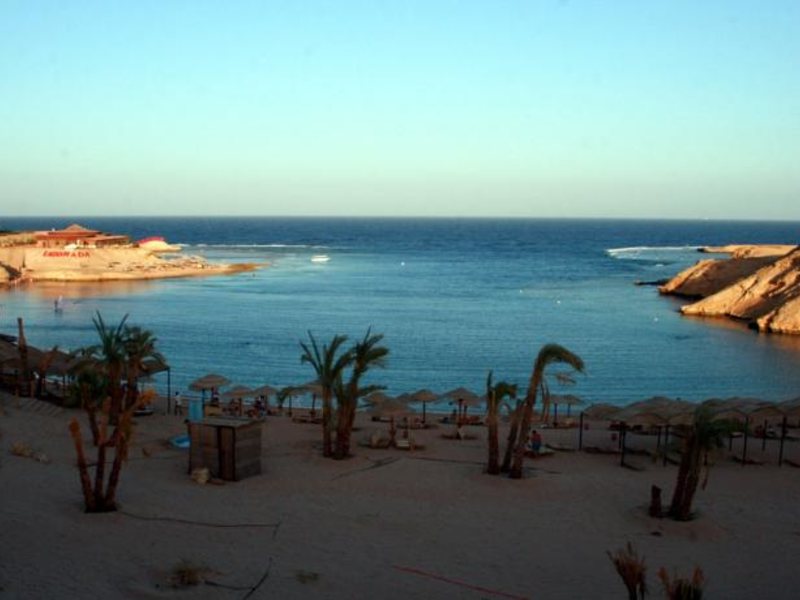 Red Sea Taj Mahal (ех 121350