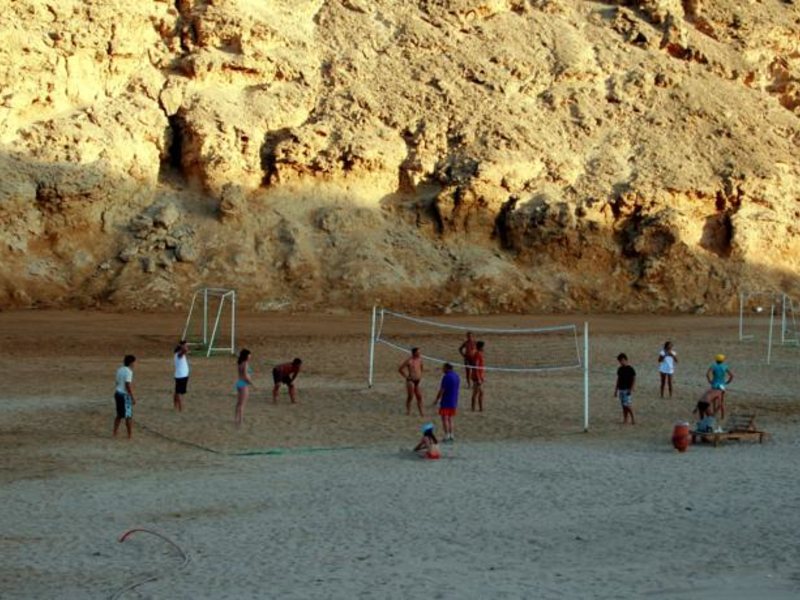 Red Sea Taj Mahal (ех 121354