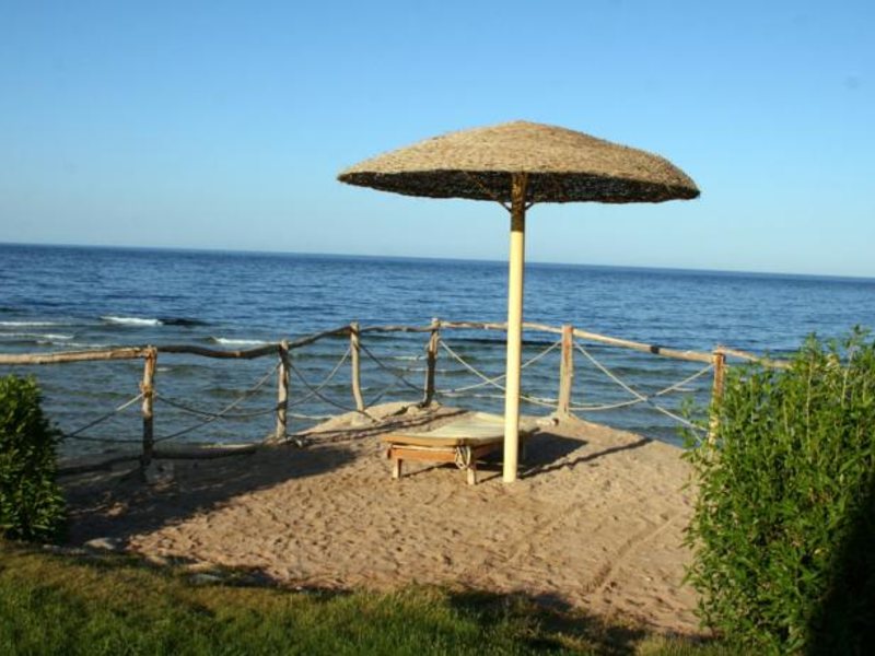 Red Sea Taj Mahal (ех 121356