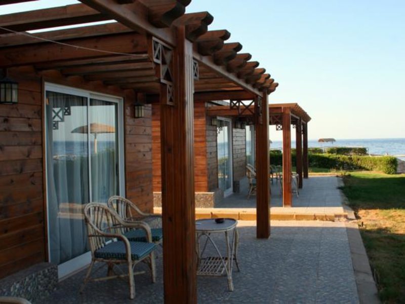 Red Sea Taj Mahal (ех 121358