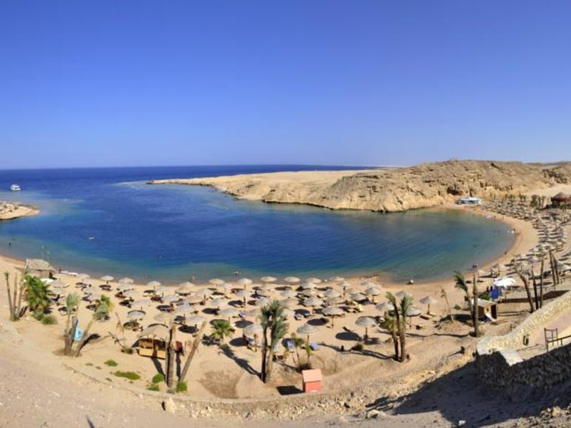 Red Sea Taj Mahal (ех 121364