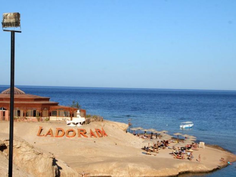 Red Sea Taj Mahal (ех 121365