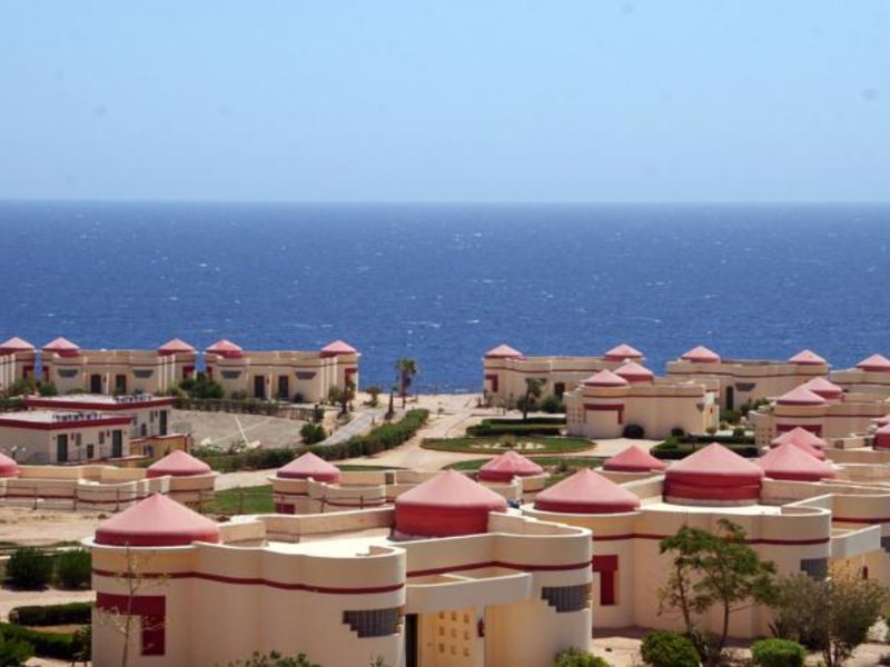 Red Sea Taj Mahal (ех 121366