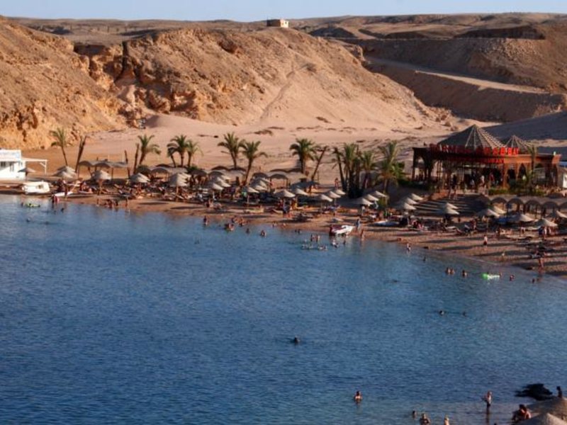 Red Sea Taj Mahal (ех 121367