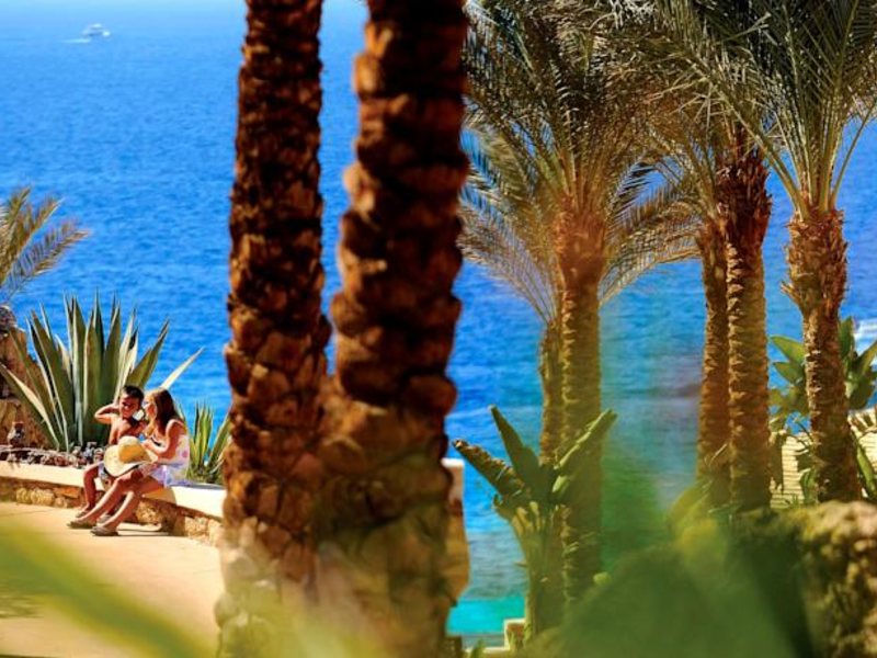 Reef Oasis Beach Resort 127181