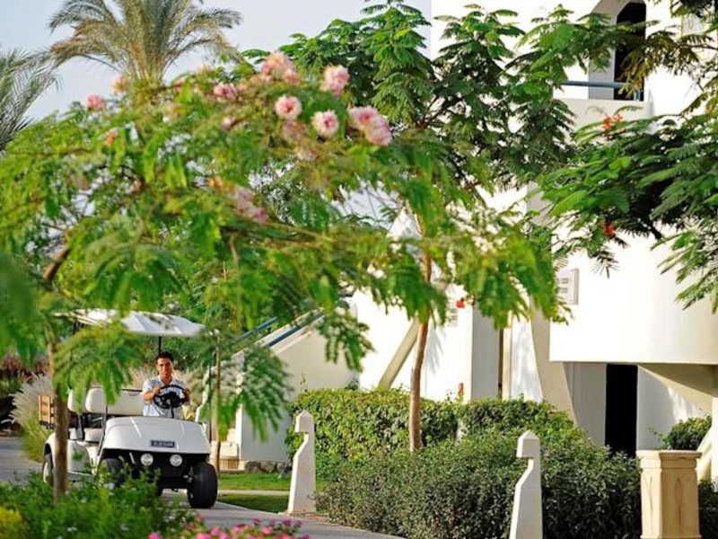 Reef Oasis Blue Bay Resort  127207