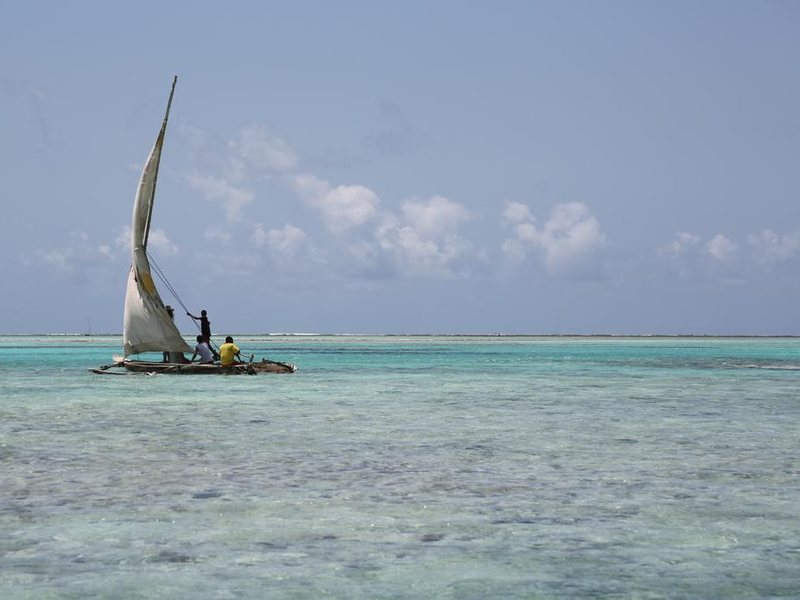 Reef and Beach 202012