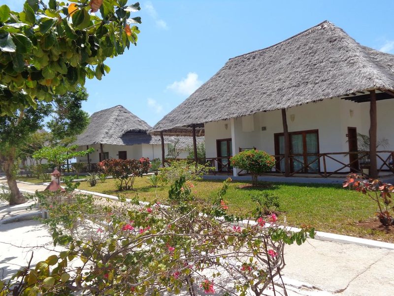 Reef and Beach 202031