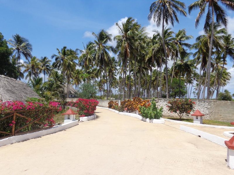 Reef and Beach 202036