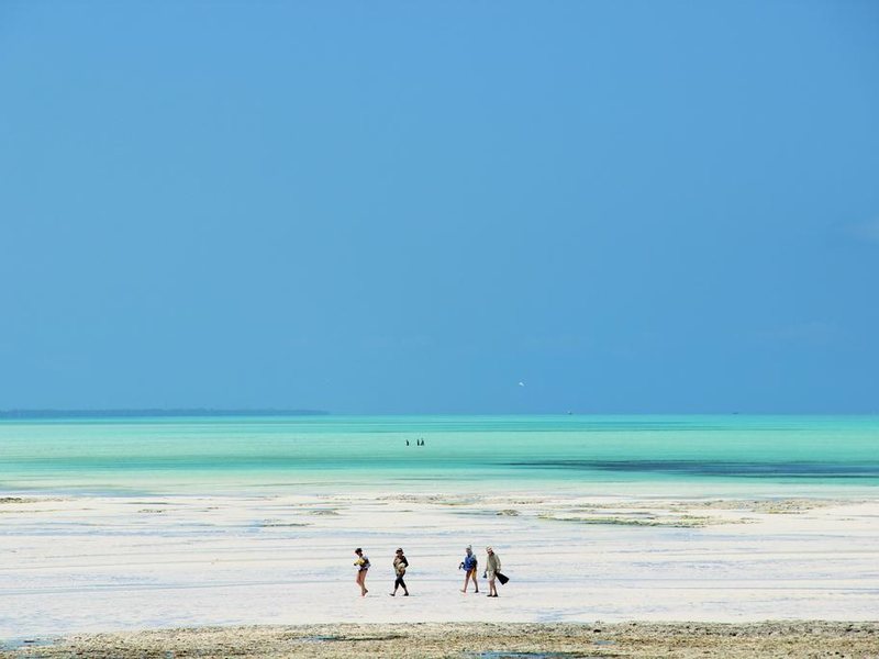 Reef and Beach 202053