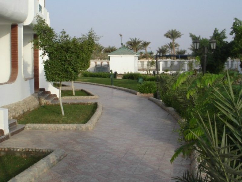 Reemyvera Sun Smile 127229