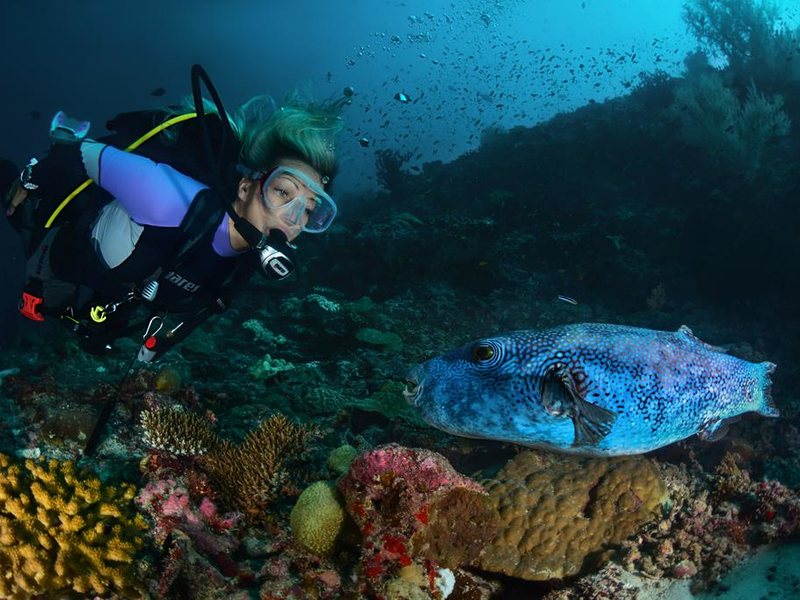 Reethi Faru Resort  323999