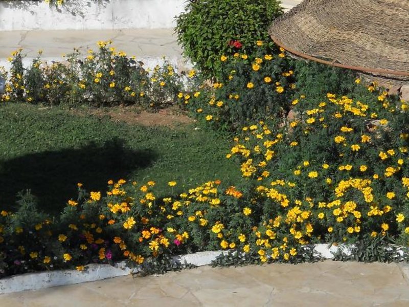 Regency Lodge Sharm  (ex 68881