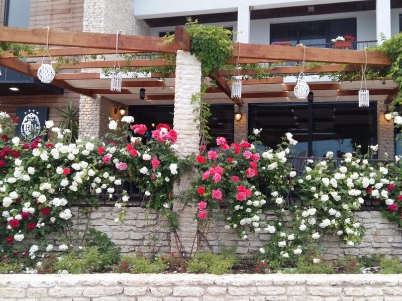 Regina Maria Spa  173061