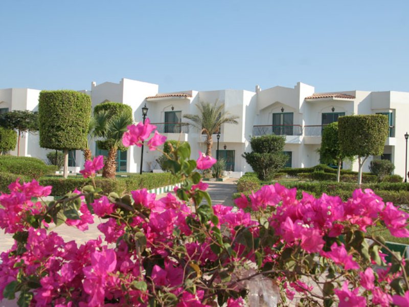 Regina Nuweiba 37229