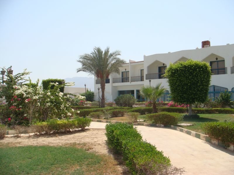 Regina Nuweiba 37242