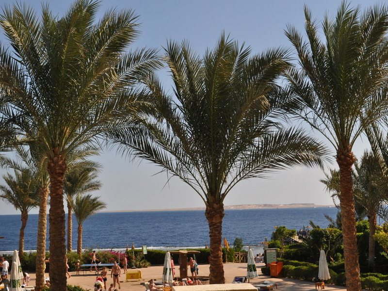 Rehana Royal Prestige 127321