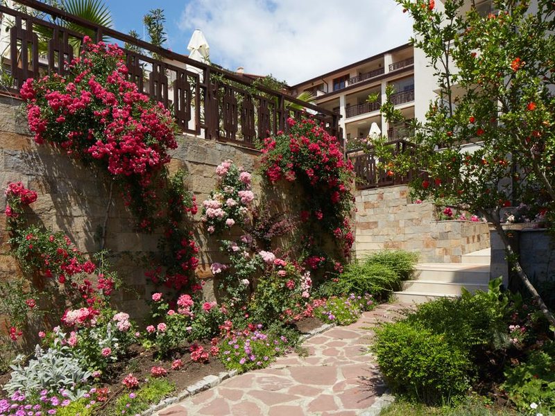 Relax Holiday Complex & SPA  317714