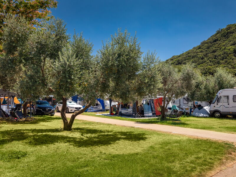 Residence & Camping Oliva 329416