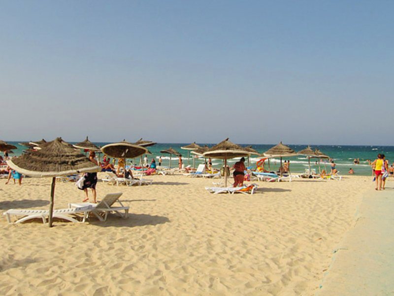 Riadh Palms 15828