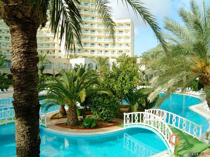 Riadh Palms 15830