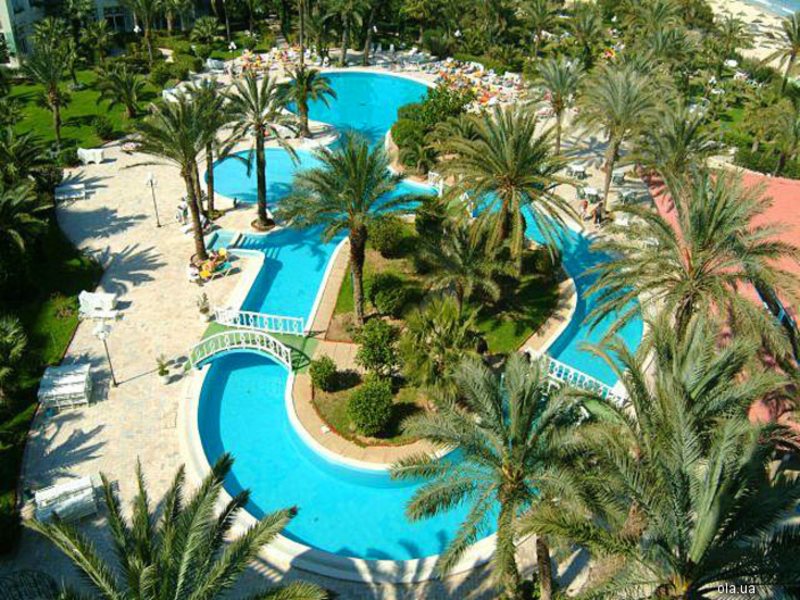 Riadh Palms 15831