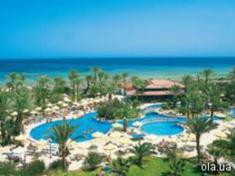 Riadh Palms 15832