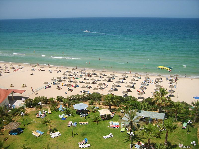 Riadh Palms 15834