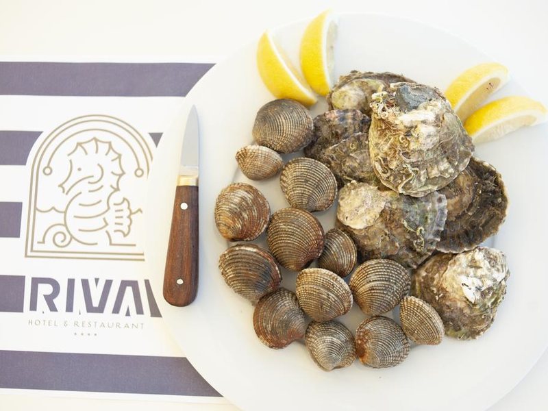 Riva Petrovac Hotel 308614