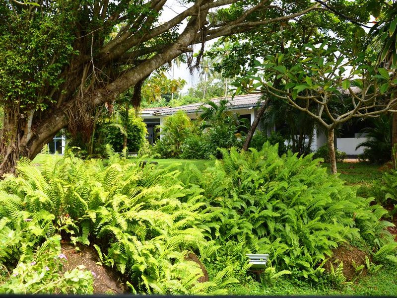 River View Hotel  108446