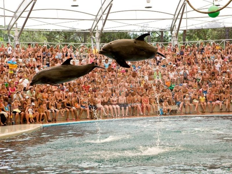 Rixos Premium Belek 42269