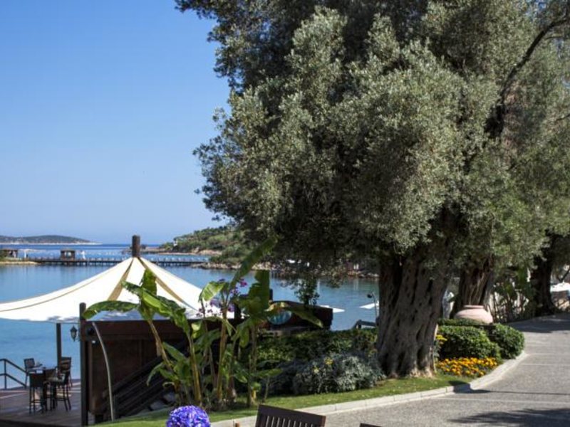 Rixos Premium Bodrum 100171