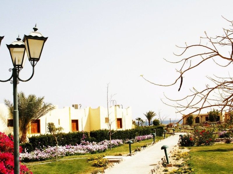 Rixos Premium Magawish (ex 125868