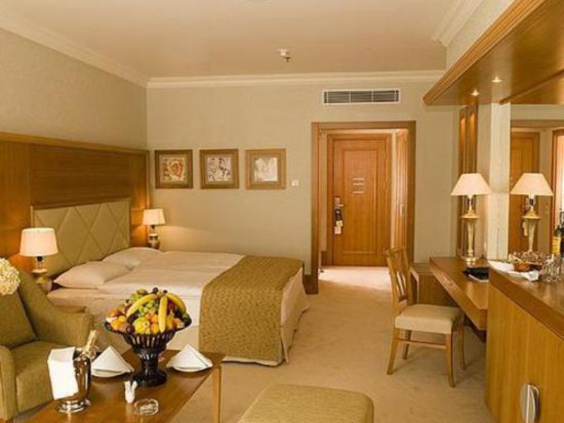 Rixos Prikarpatye Hotel 22353