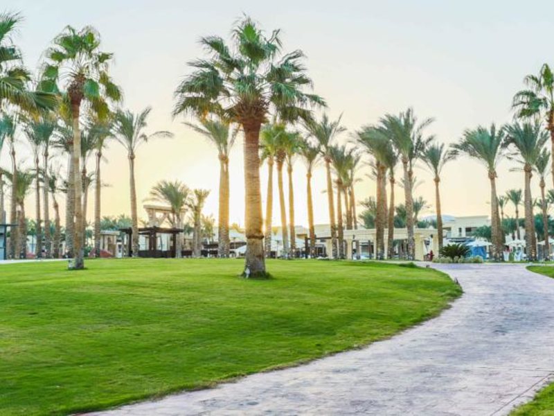 Rixos Seagate Sharm 73302