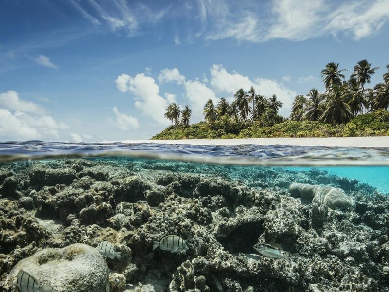 Robinson Club Maldives 228272